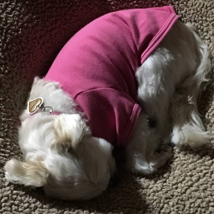 226f0da5 ec21 468d b988 391a0c4a3501