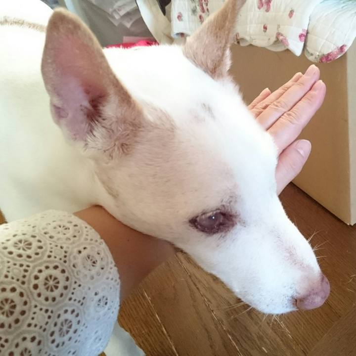 226fc35b 00dd 4de3 91ad 714cffb101b9