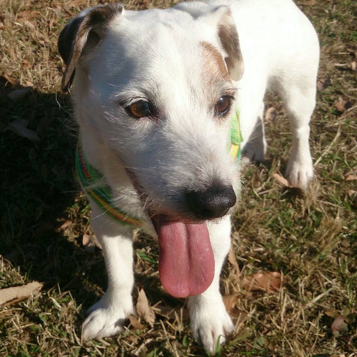 226fcadb a43e 4ff5 84fd 997dada00a10