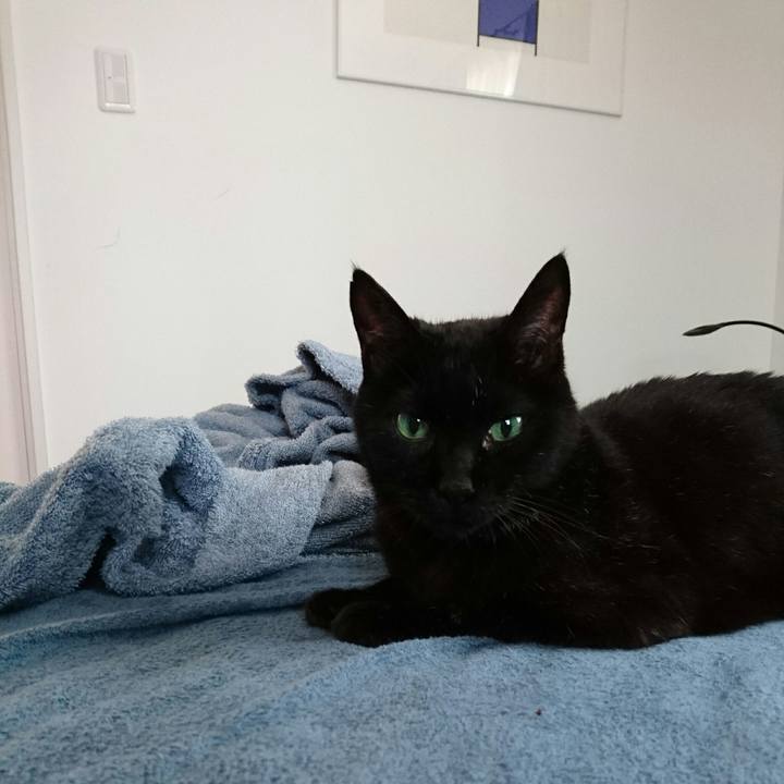 227148c8 5af2 4d0c beb0 39c57dc0ffdc