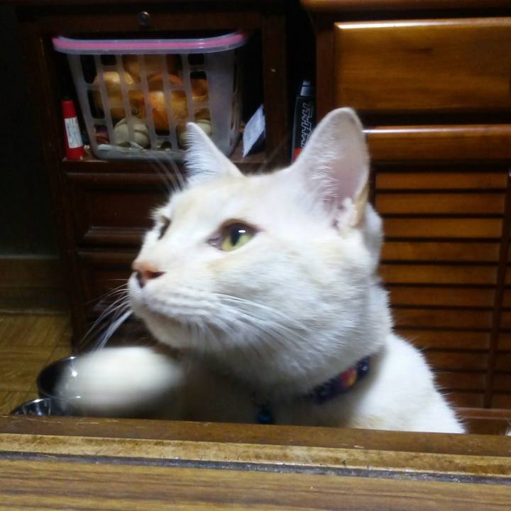 22714ddb 7fc2 42ad a17a 480bf559bf7b