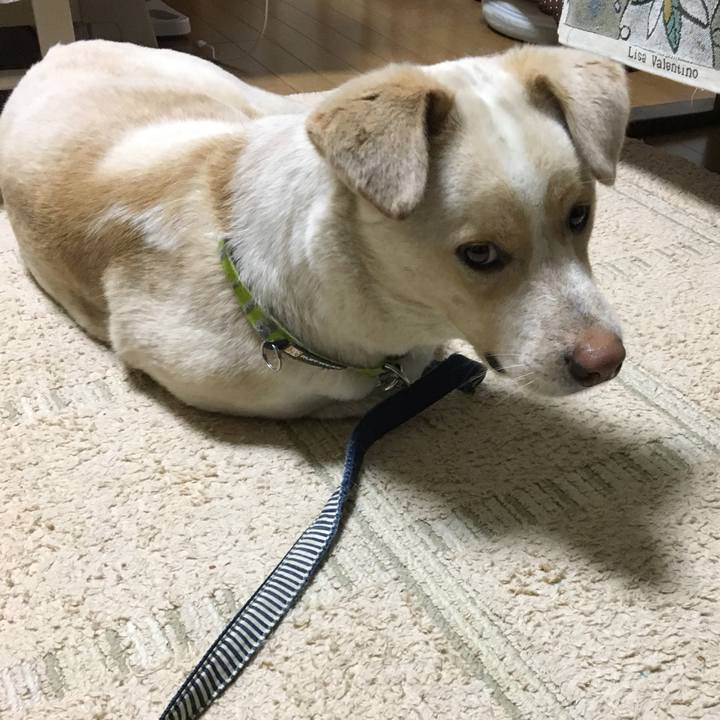 2271619c 720d 4c2f 93eb 98be0deb0be2