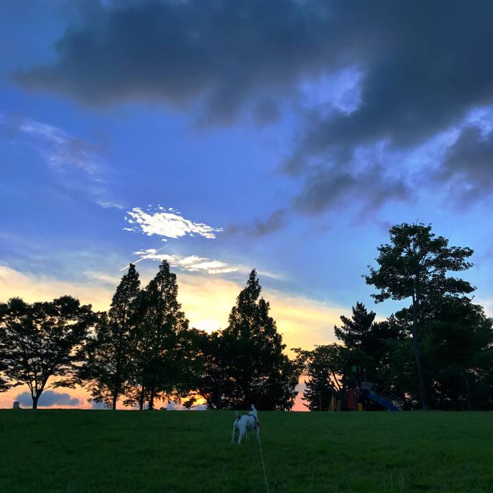 2271c74f 3088 4eac 9322 41bdb8be5fa3