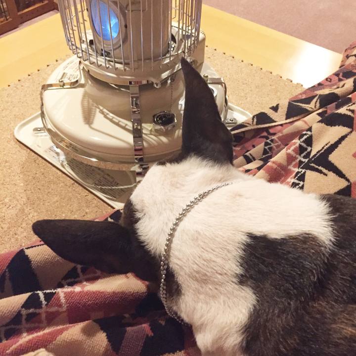 2271ecc9 06bb 4ea7 931b 4770beb21e6f