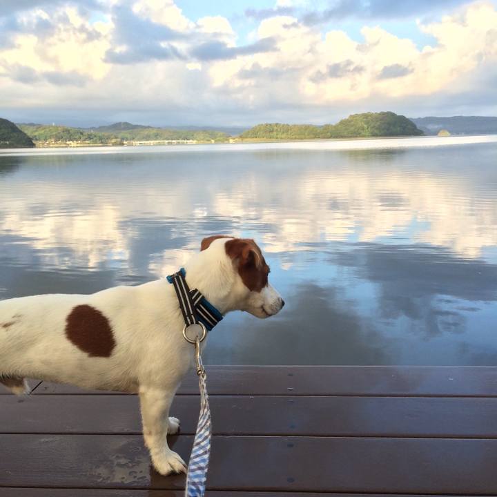 2271fa46 d603 4814 86ab 94d5d4122ece