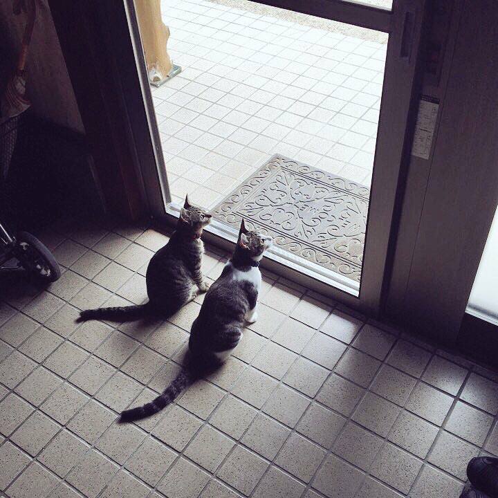 2273626d f7ce 4695 bacf 12a9862f632b