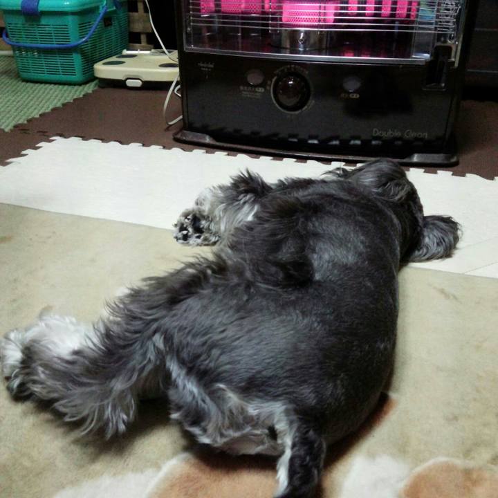 2273b087 de31 49c7 ad2f 0f1b461034bf