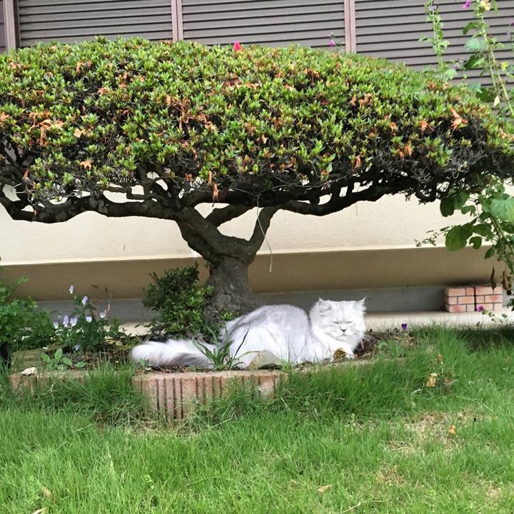 2273d77c d86a 4ad2 aefd cea7d39172e8