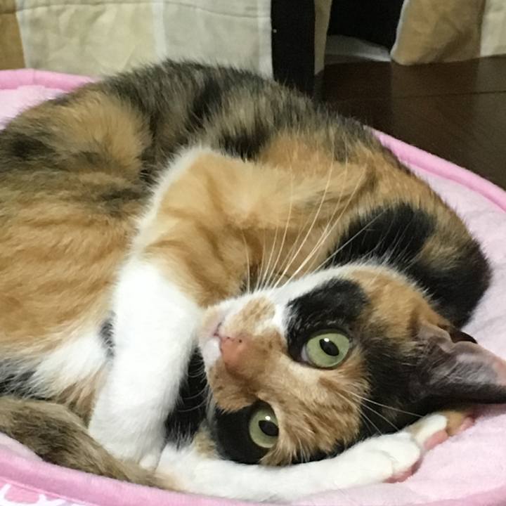 227407c2 91a3 4d95 b92d b6c9bd777fcb