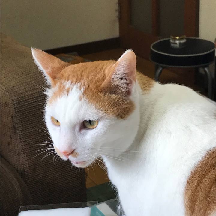 22743dbb c458 46cb 8103 1b753457c4cc