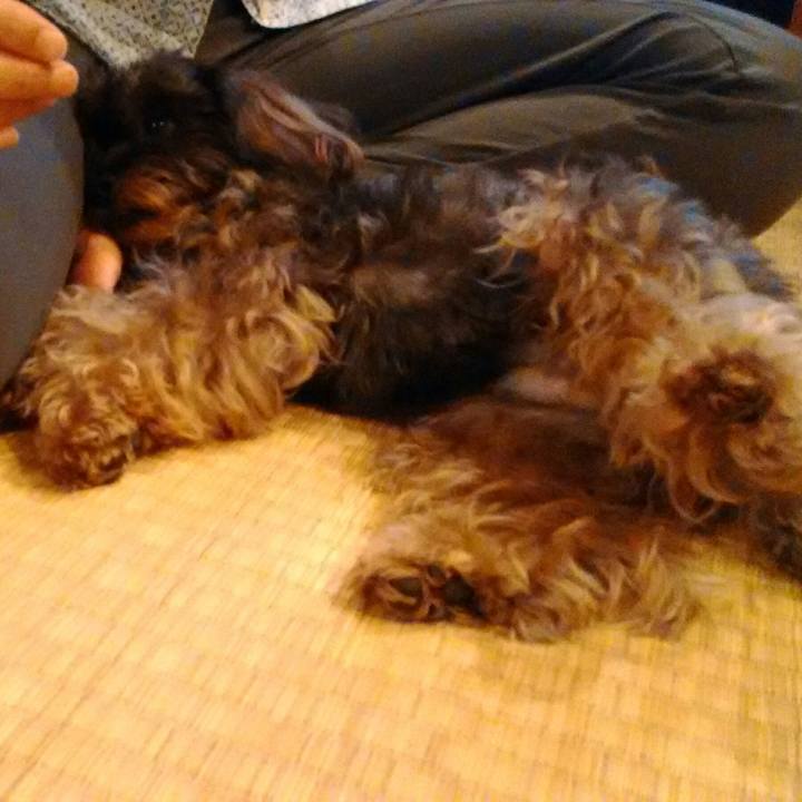 22746892 606a 4652 9c31 db2a391598eb