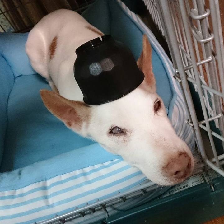 22746c1b 5412 4c61 bb26 ee9bb2d0a4cb