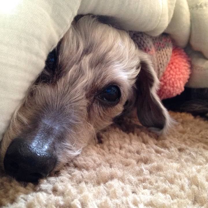 22748e11 a327 4f5b 9658 c24864c98c68