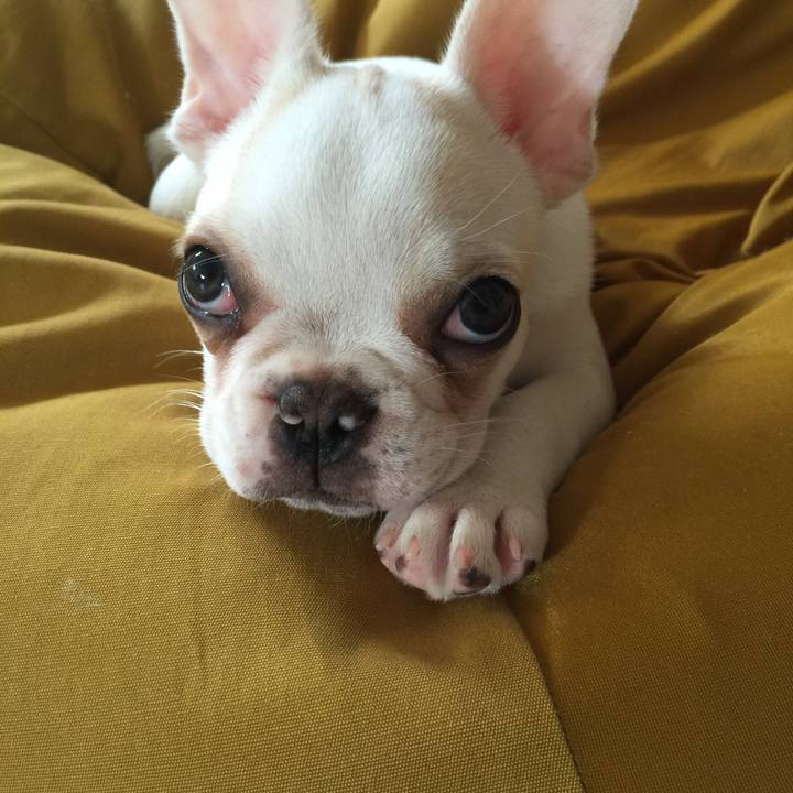 2274c266 e2dd 4cf4 aa41 bf915d3a023b