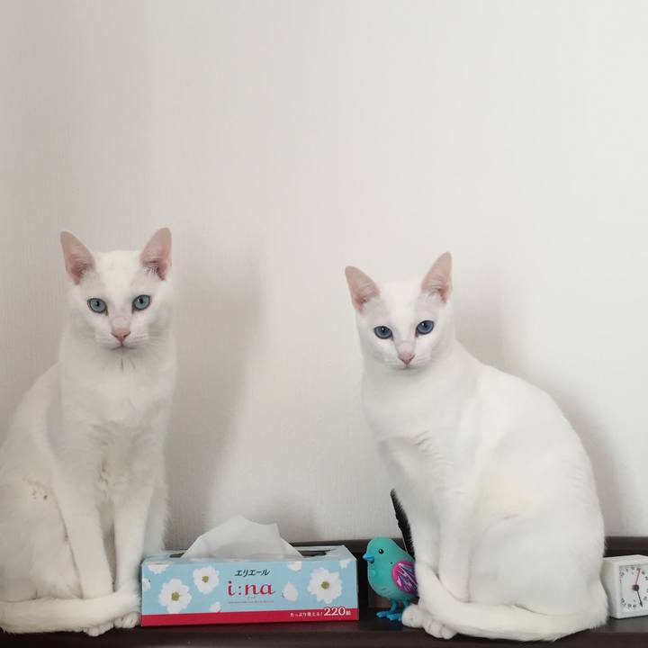 227512dd 6676 4c96 bf3e 299d82396e1d