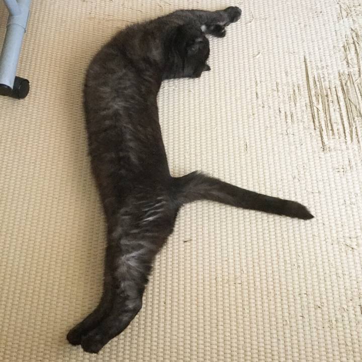 22756cd7 e513 4b5f 9d9d 3153c877af47