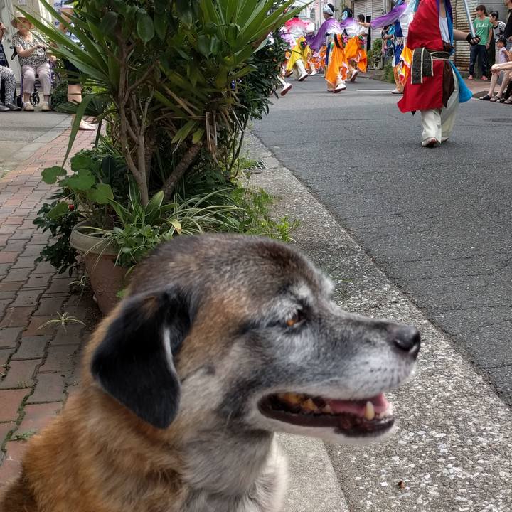 2275fc22 da4a 4575 b9a0 41cdfced5881