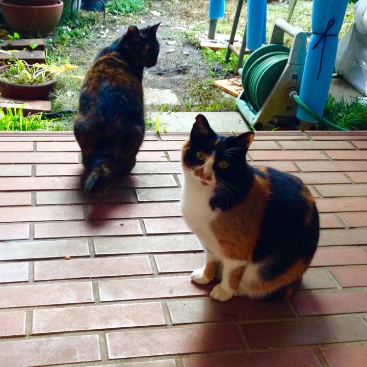 22762515 1f37 4dab 8db8 c5a052a9fc48