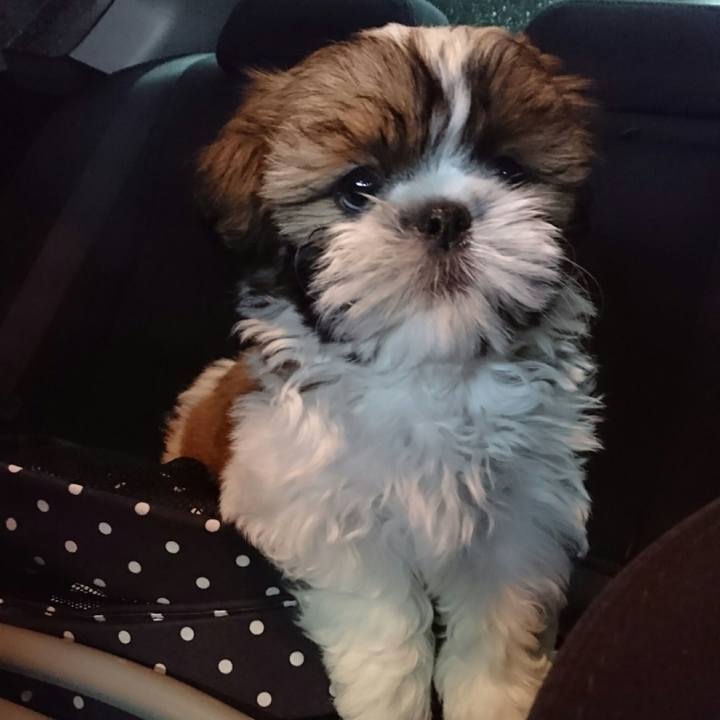 2276f180 e948 4450 a825 c4b652f170e5