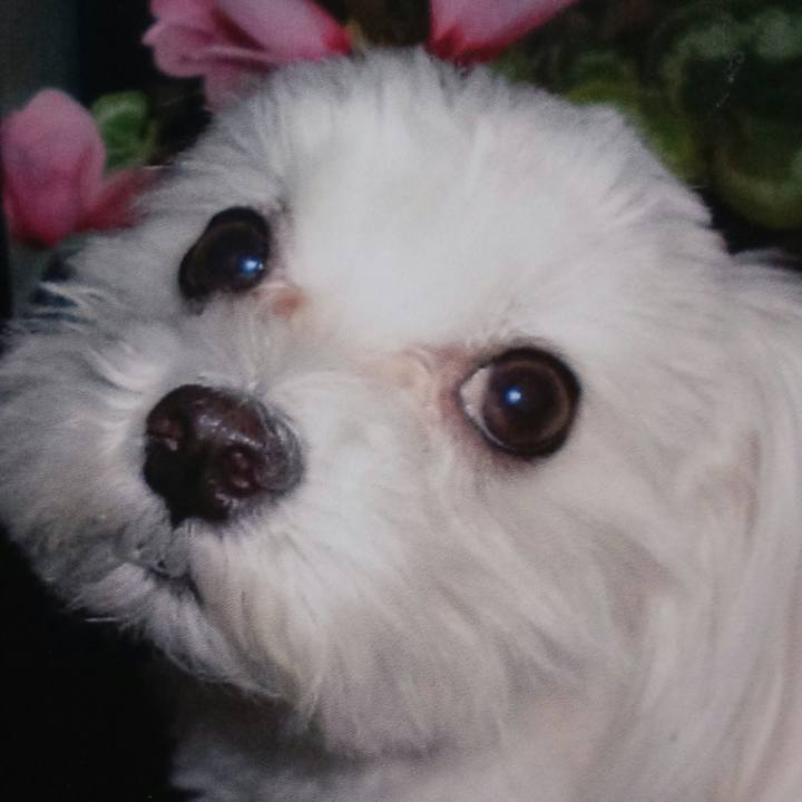 22781379 c7b3 469e a156 0bbccc2e4203