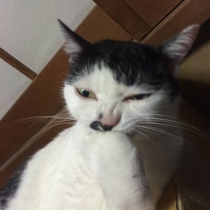 22781b62 5f70 40f5 a9ce 0a79f23161b9