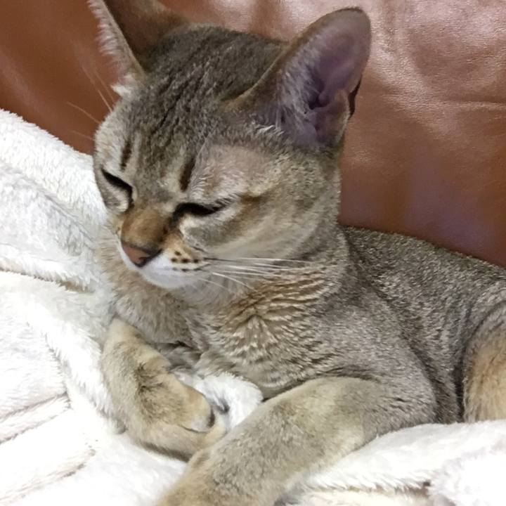 227971e8 bd8b 4e9f 9569 48d89c047d9b