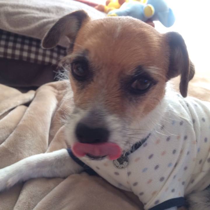 227995fb 333d 4f49 bed3 f5a8ad175ac4