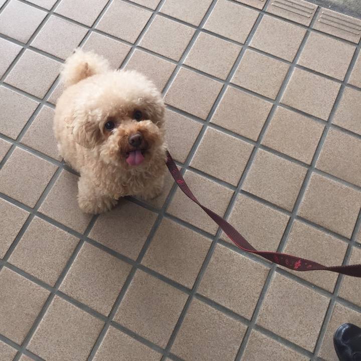 2279f0d1 439a 405e 9e03 a9a5a90cacbc