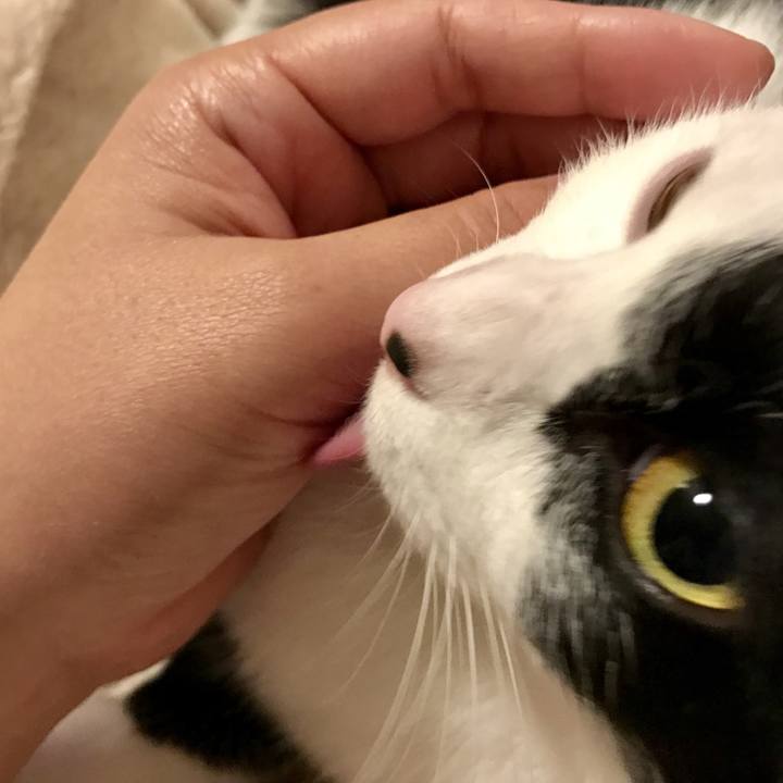 227a12a3 4f0e 444d b5b4 bad85e2b003d