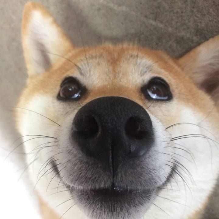 227a651f 4cfa 476b 98a0 d14e7a839709