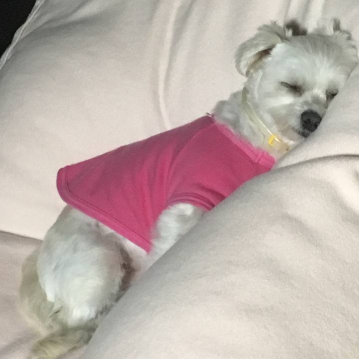 227ae435 3f39 4050 a152 3e137ea77135