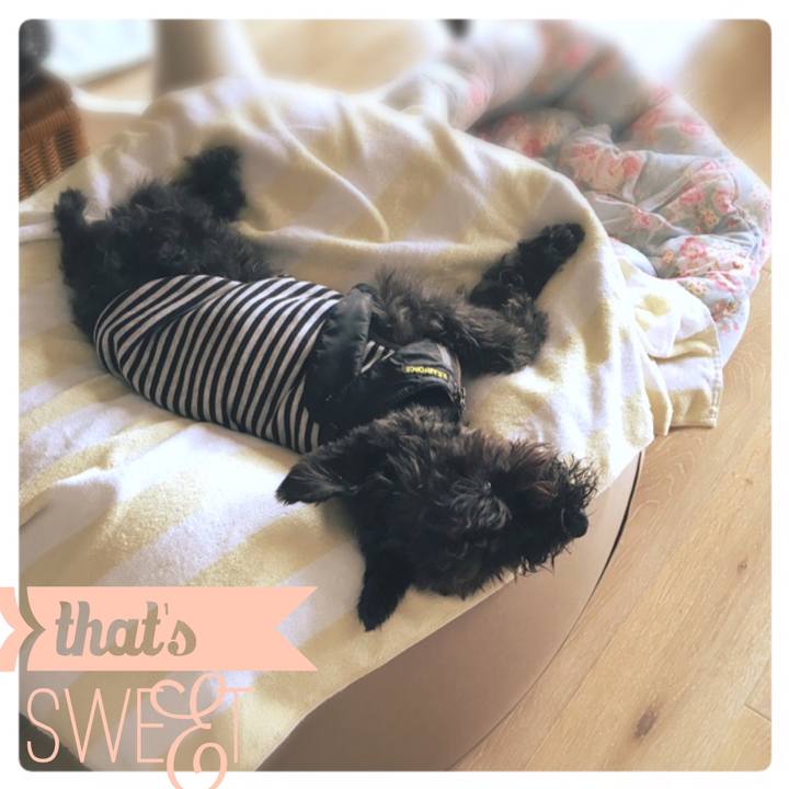 227b04b1 d5f5 47a7 a8ec 937d029c31ff