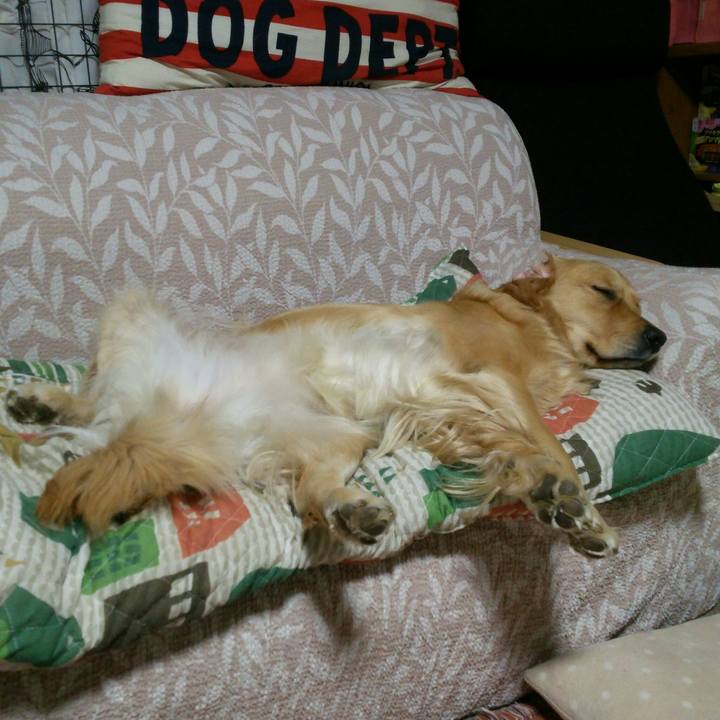 227b9916 5ccd 42da a7be 0a8de896dbc4