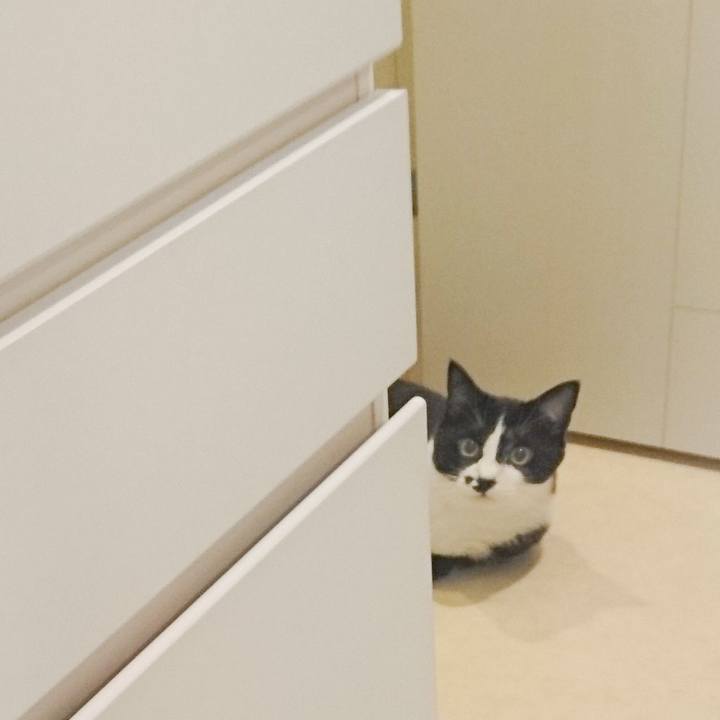 227b9f6a ff2d 4680 a790 65a512fe966e