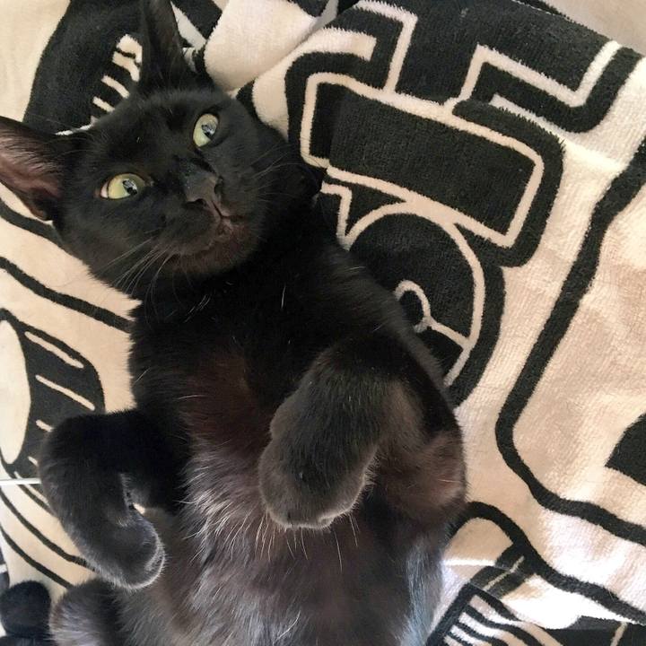 227bbb3e 0e91 448a bcc9 ca54f3200de6