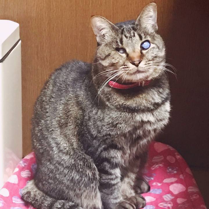 227bcd20 2eb9 4af8 a6ab 4e9af4cd75ee