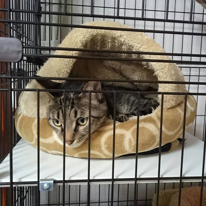 227c71fd ad9f 46f5 9383 15eb104492a8