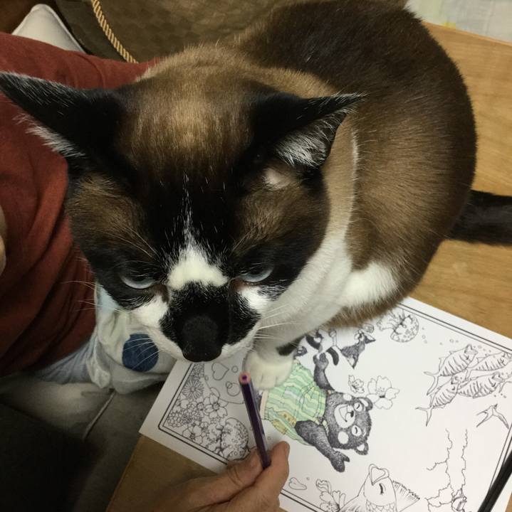 227cb001 a571 4e71 bd55 e9d12297add5