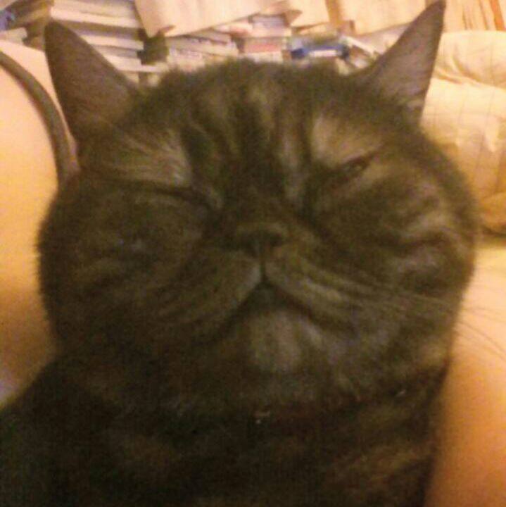 227cb06d 383c 4797 a360 e988623c4057