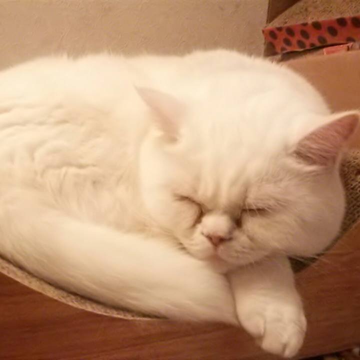 227d12be 8489 497d 8833 32b93ff1bec3