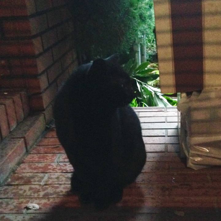 227de655 d25c 4161 9aad 7d3d277675cb