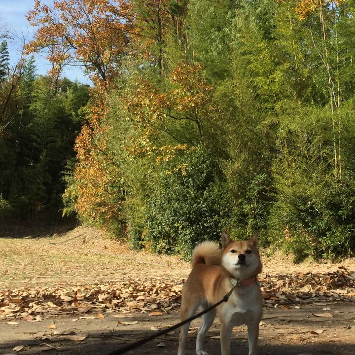 227e4aa4 81ab 487c bc8c b0b1738d04df