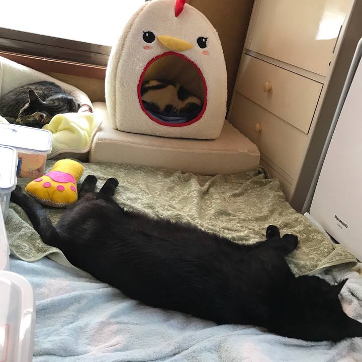 227eac9c db31 4420 acfe 8041e4dffd47