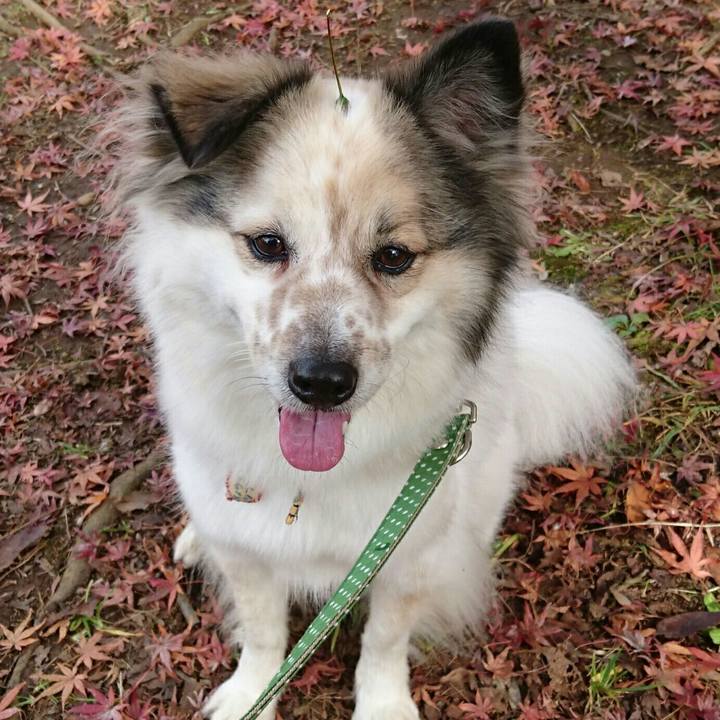 227f2fbd e64c 4169 9b5b ae856f541053