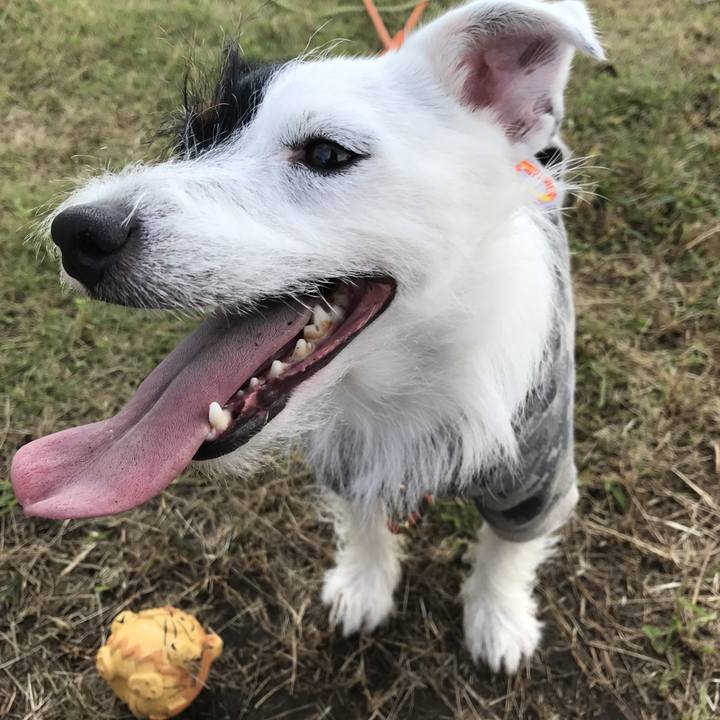 227f7f3d b149 45f5 8027 781b68cdb473