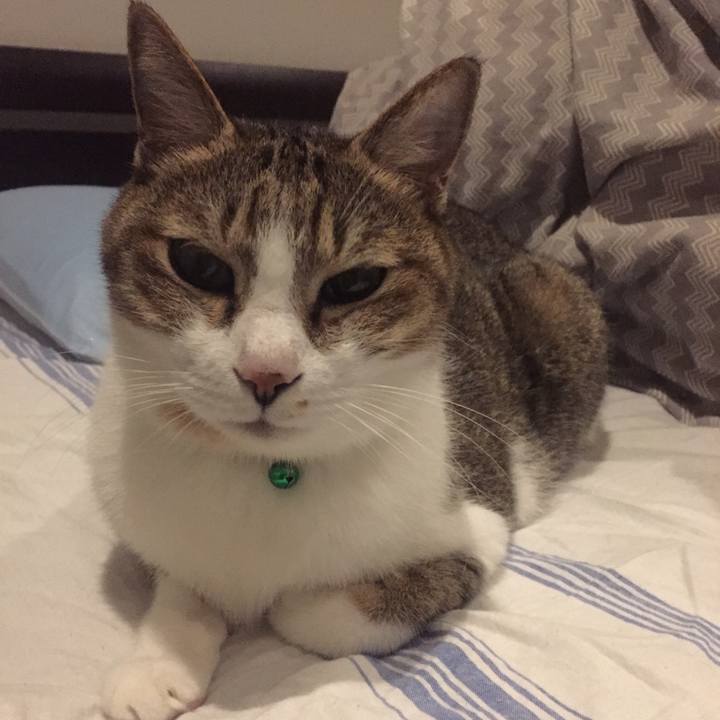 227fdf70 db7c 4856 b400 763cdadb3cb5