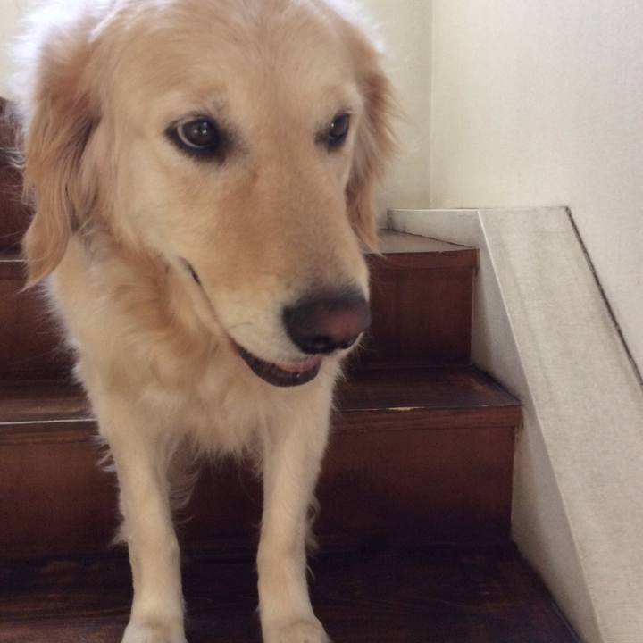 228012db 9100 4b5d a467 ae6c1cd881d7