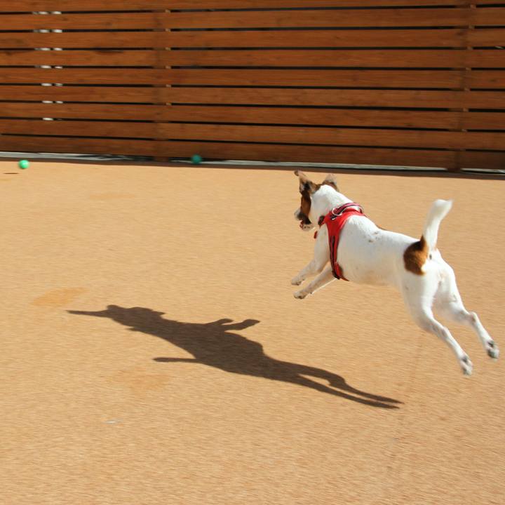 228051de 5aa6 4c12 871a 69322dbcfcf1