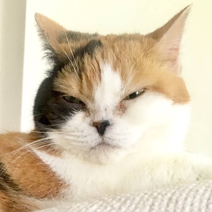 228074fd d10d 4149 b313 1ac2ac805f63