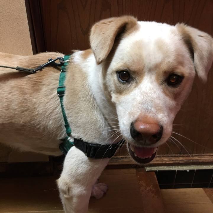 2280a995 9aa7 4c01 b72c 961a43afe9d4